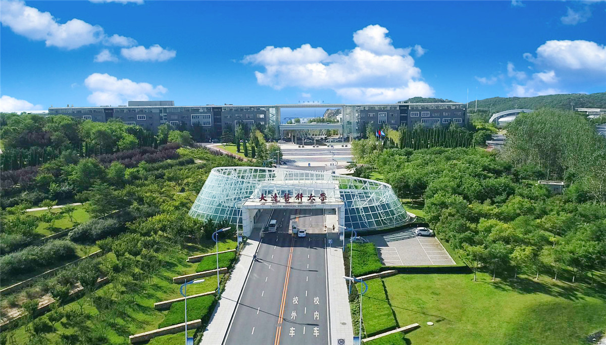 Dalian Medical University — main entrance and academic axis, Lüshunkou campus