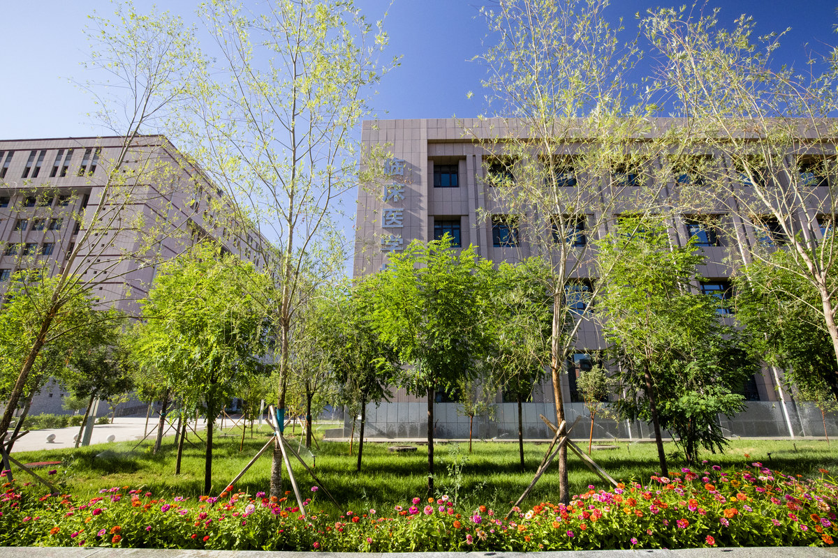 Xinjiang Medical University — Snow Lotus main campus — academic architecture and landscaped grounds