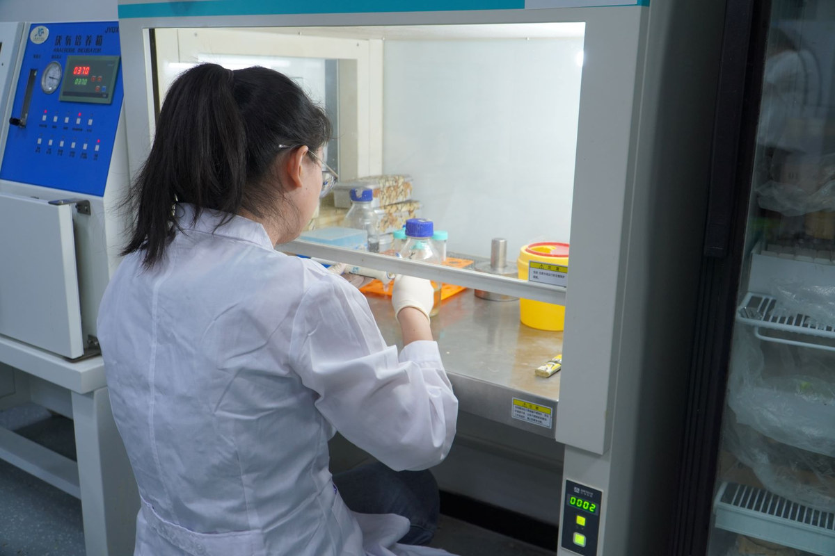Nanjing Medical University — A Nanjing Medical student works at a laboratory cabinet (2022).