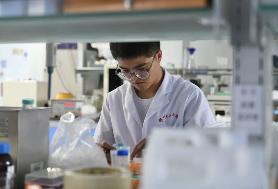 Laboratory work at Jinzhou Medical University.
